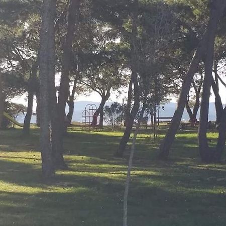 Apartman Petar Apartment Zadar Luaran gambar