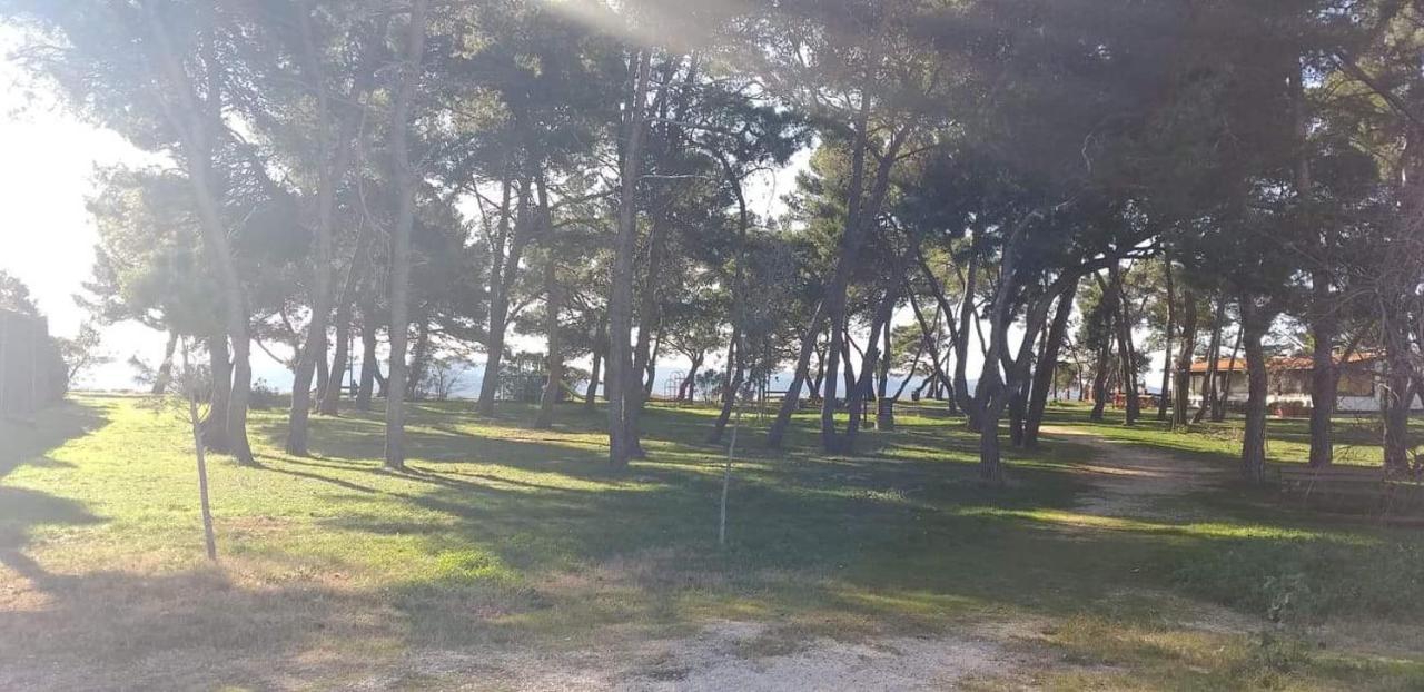 Apartman Petar Apartment Zadar Luaran gambar